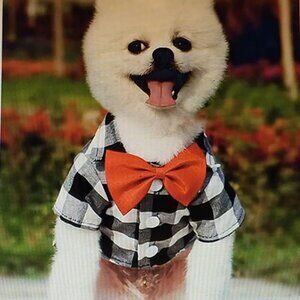 1pc PLAID PRINT PET SHIRT (SMALL)